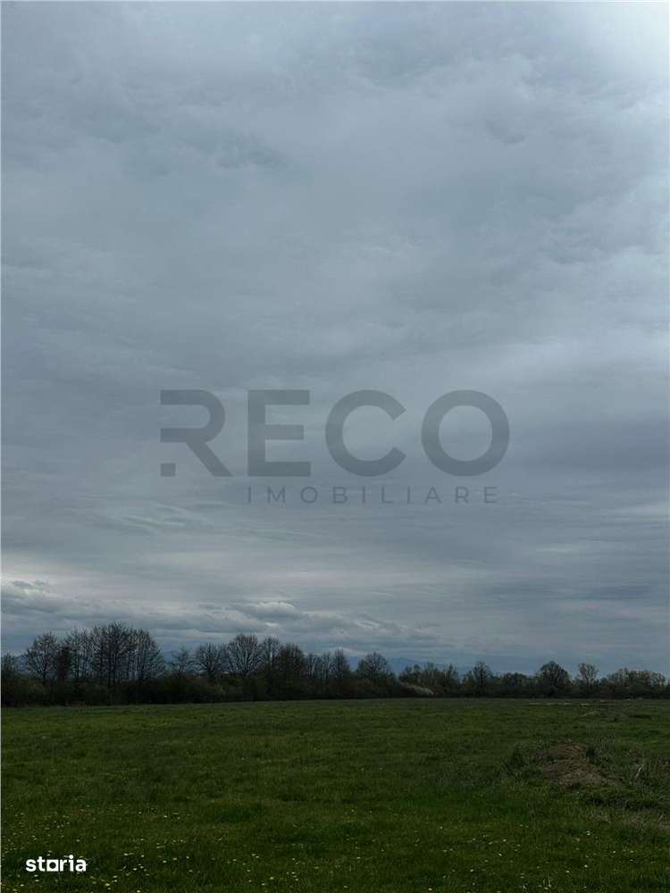 Reco Teren 5000mp, langa Aqua Park Beius - Imagine principală: 2/2