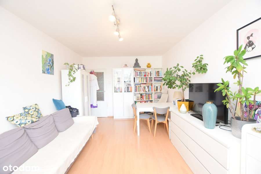 NA SPRZEDAŻ  2- POKOJOWE MIESZKANIE OSOBNA KUCHNIA-1