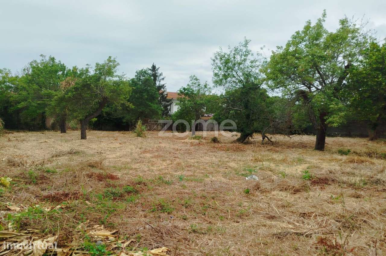 ÍLHAVO, S. Salvador - TERRENO para Construção - Grande imagem: 4/23