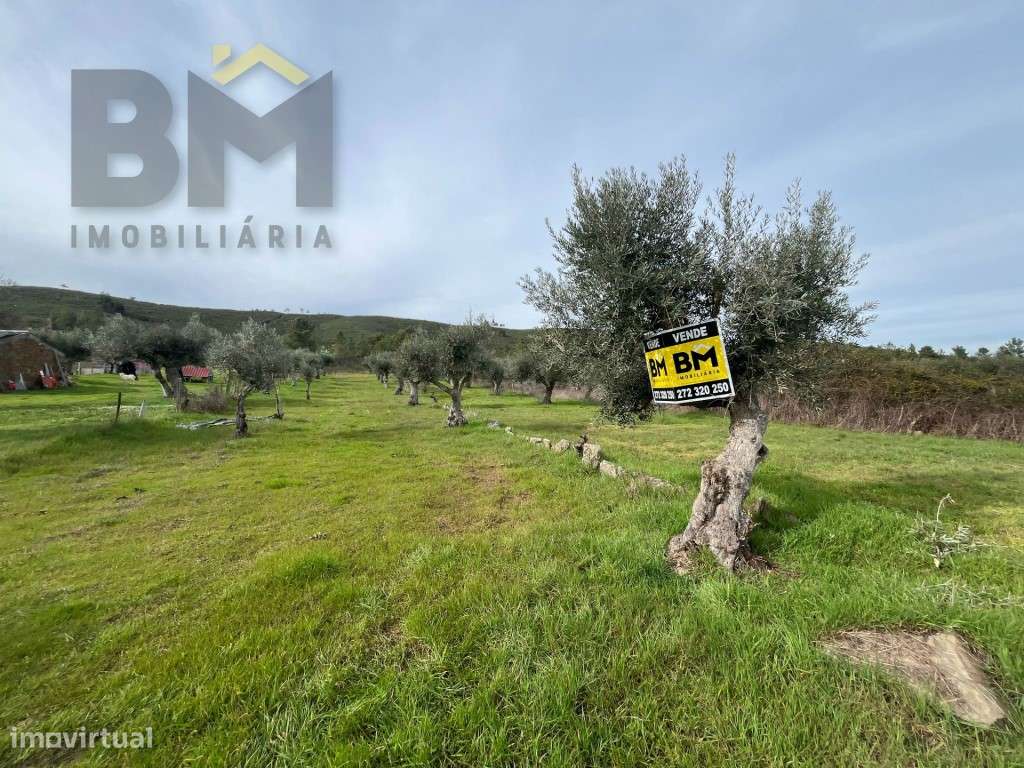 Terreno rústico com 6360m2 para venda no Freixial do Campo! - Grande imagem: 4/10