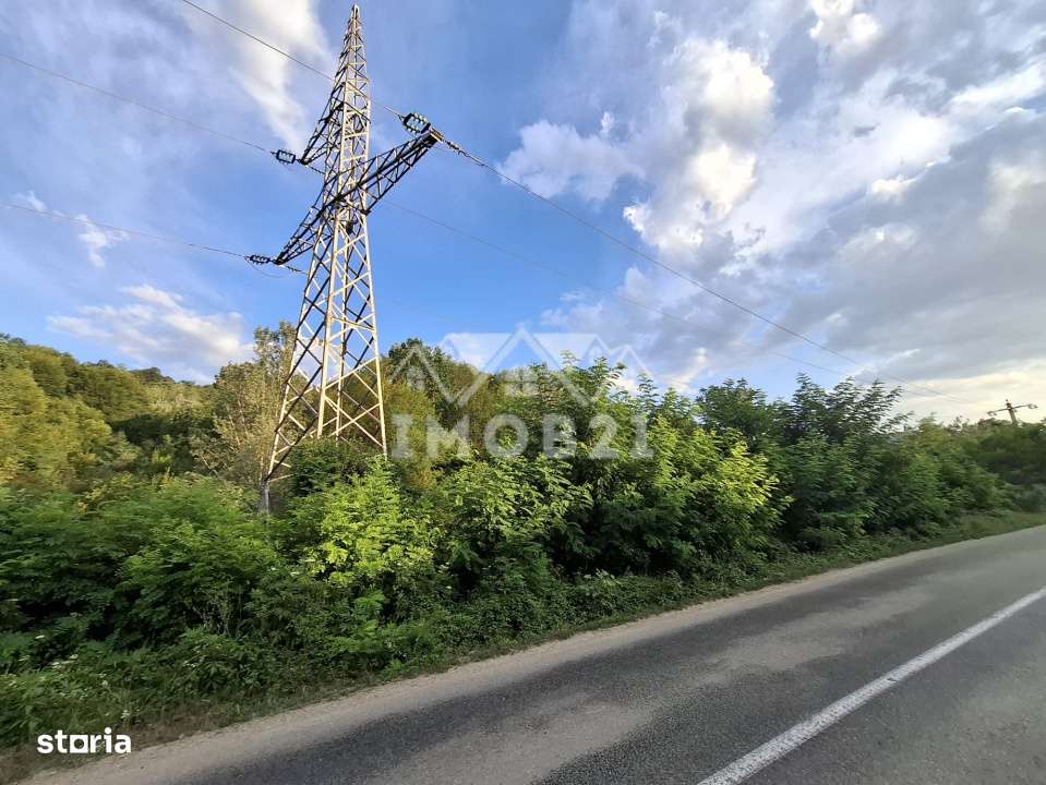 Teren spectaculos cu padure, livada si priveliste panoramica in Soimar-14