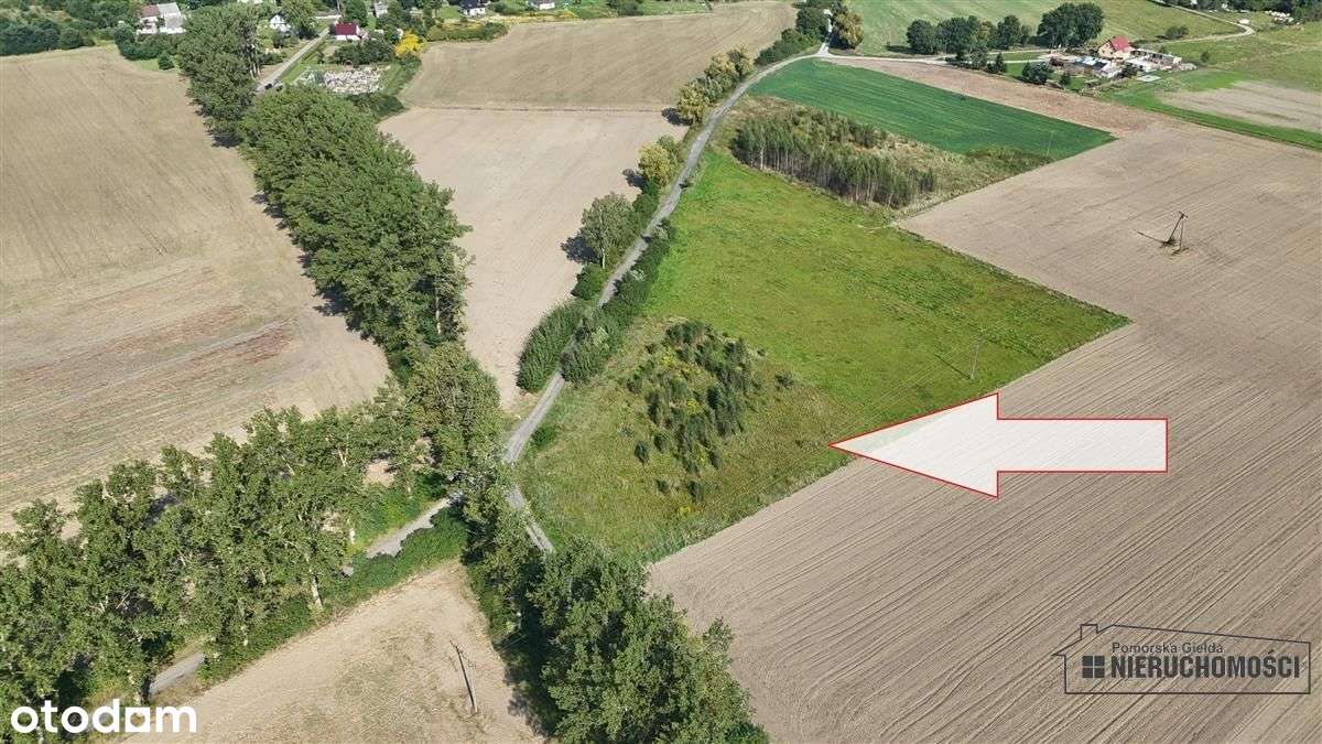 Bielikowo - działka na raty - około 20 minut od Ba - Pełny obrazek: 4/20