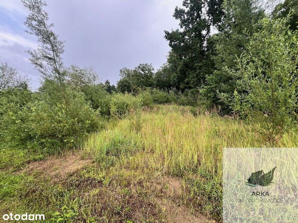 Storkowo, działka 3566 m2 z mediami - Pełny obrazek: 5/8