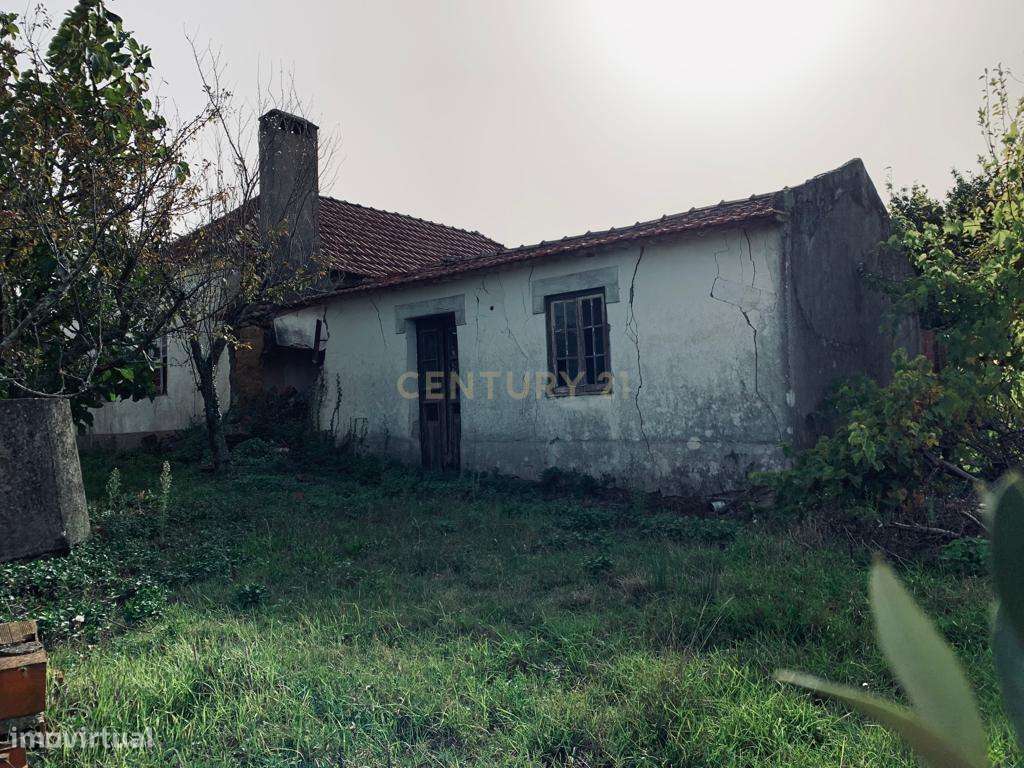 Moradia T3, Infesta, Pombal - Grande imagem: 4/20