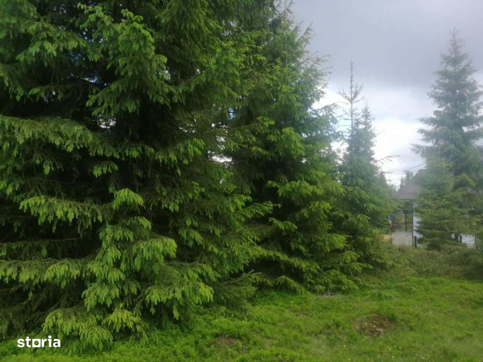 Teren de vanzare Belis1300mp Strada principala Intravilan-2