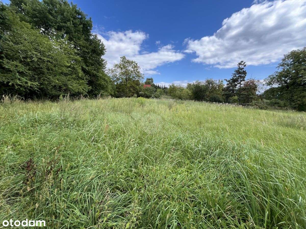 Kraków – Swoszowice - działka budowlana - 2217 m² - Pełny obrazek: 4/4