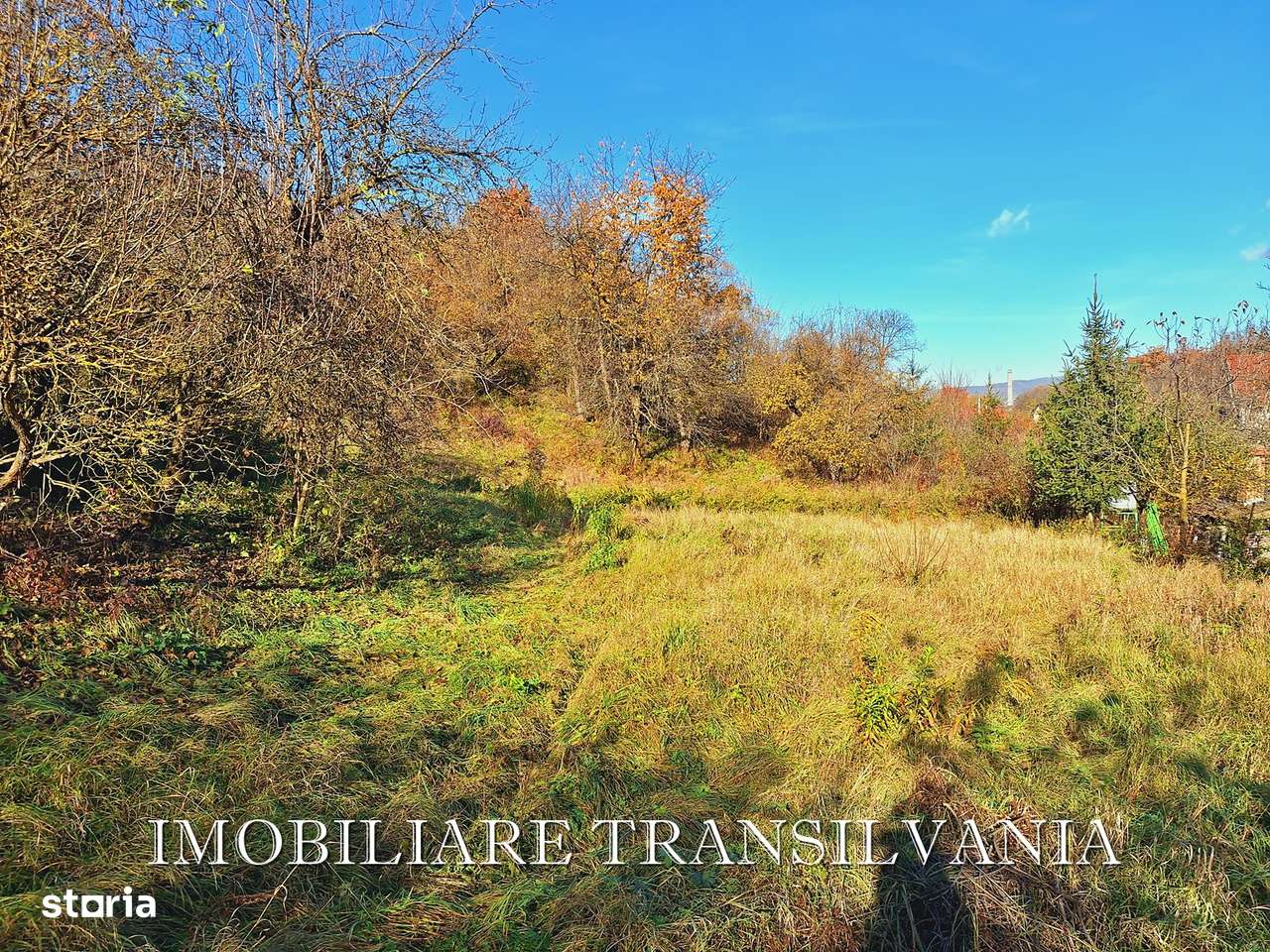 Teren intravilan 4200mp si casa - Valea Budacului-3