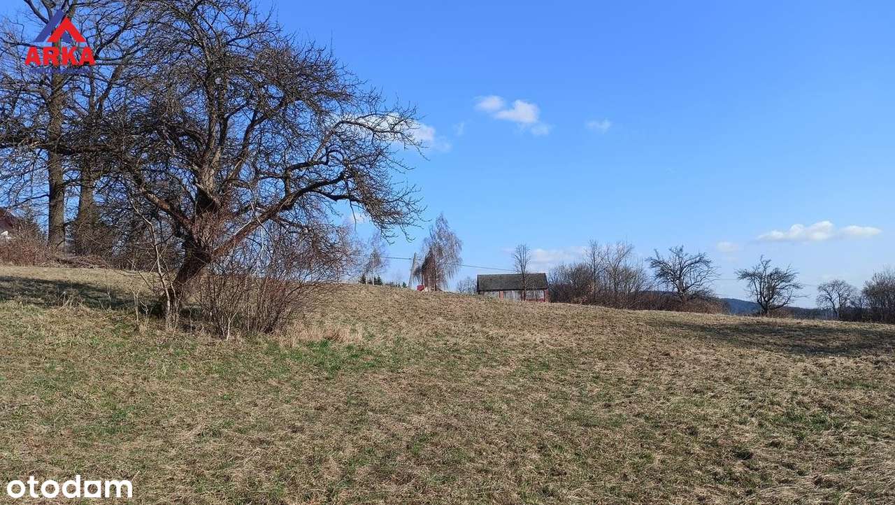 Widokowa działka z WZ – południowy stok, panorama - Pełny obrazek: 4/7