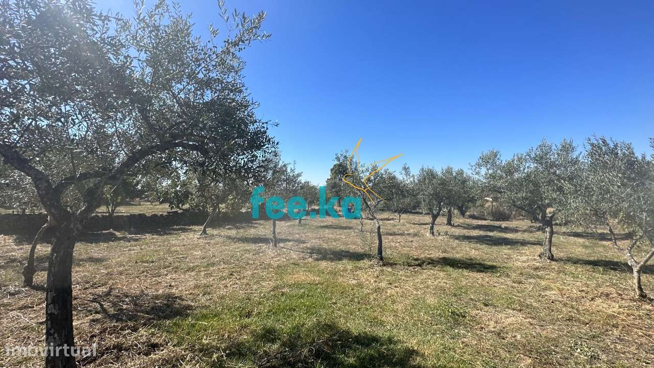 Quintinha em Monfortinho-7