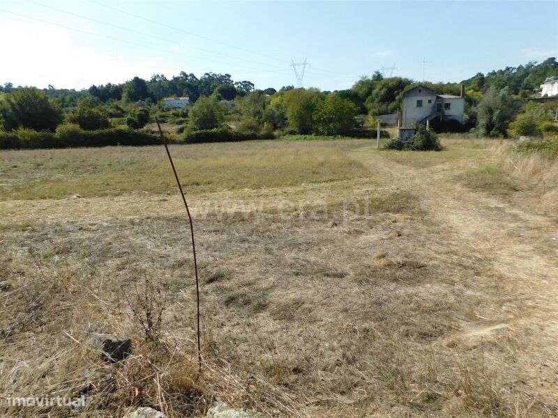 Quinta / Gouveia, Vila Nova de Tazem - Grande imagem: 5/20