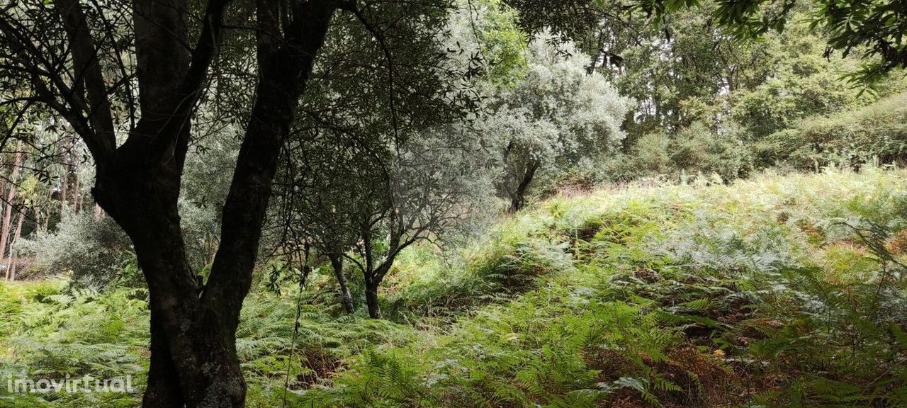 Terreno  para venda