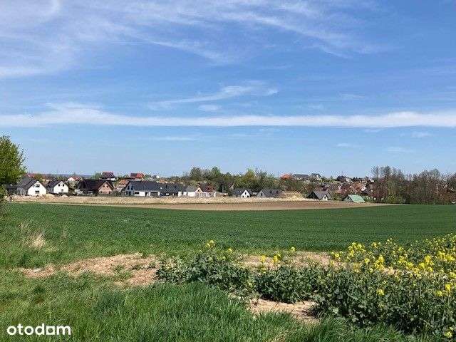 Działka budowlana pod Głogowem Kurowice Modła-9