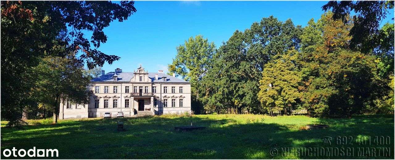 pałac w Niegolewie z parkiem 17 ha w tym rola 6 ha-10