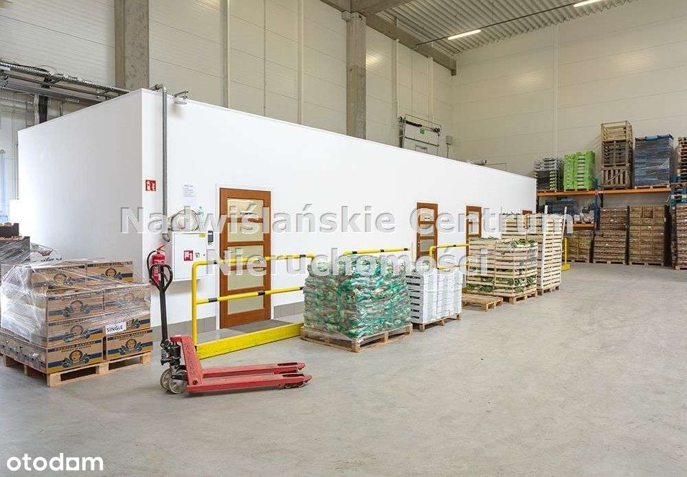 hala magazynowa wysoki skład tir biura - Pełny obrazek: 4/5