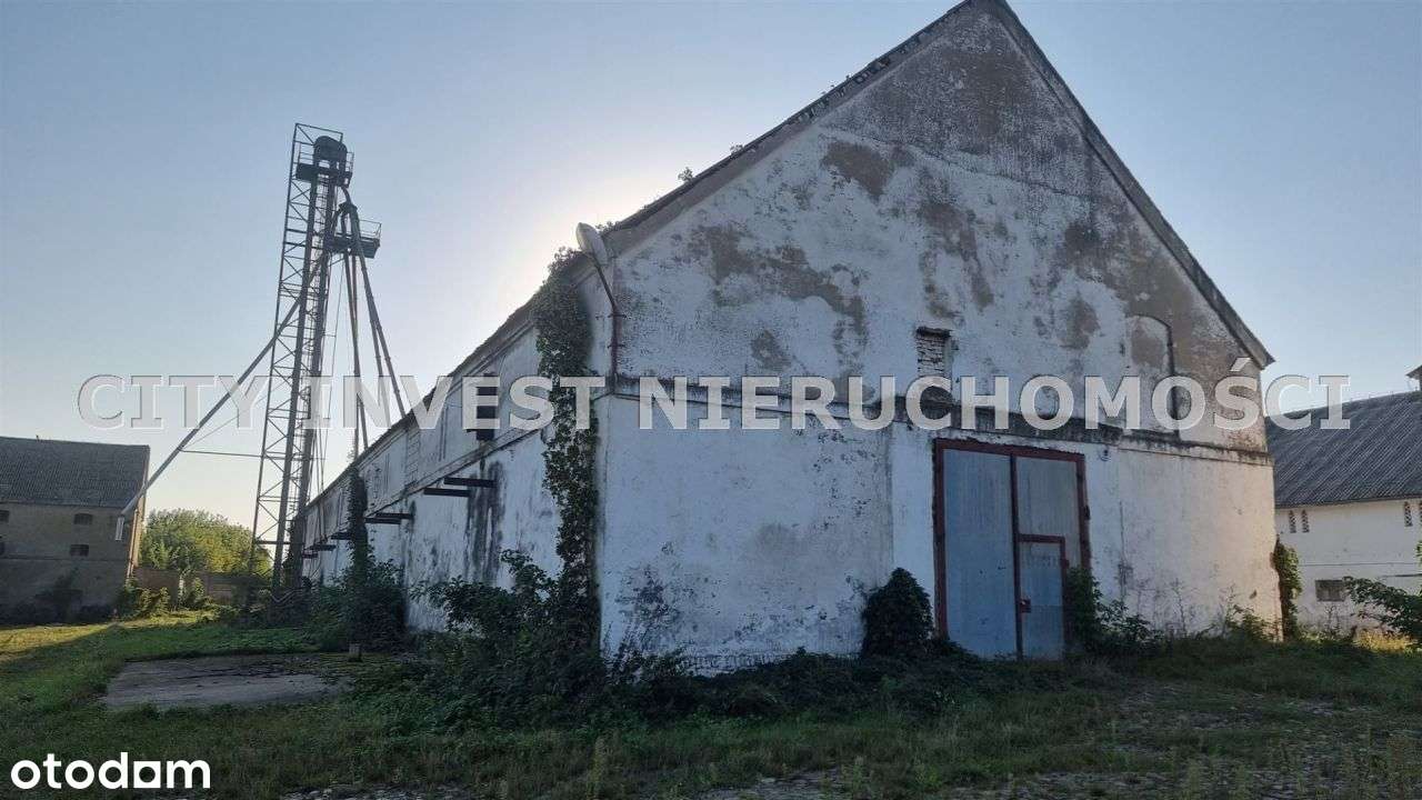 Hala/Magazyn, 20 000 m², Psarskie - Pełny obrazek: 4/16