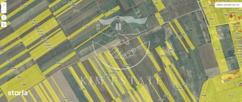 De vanzare 200 hectare Facaeni Ialomita - Imagine principală: 2/2