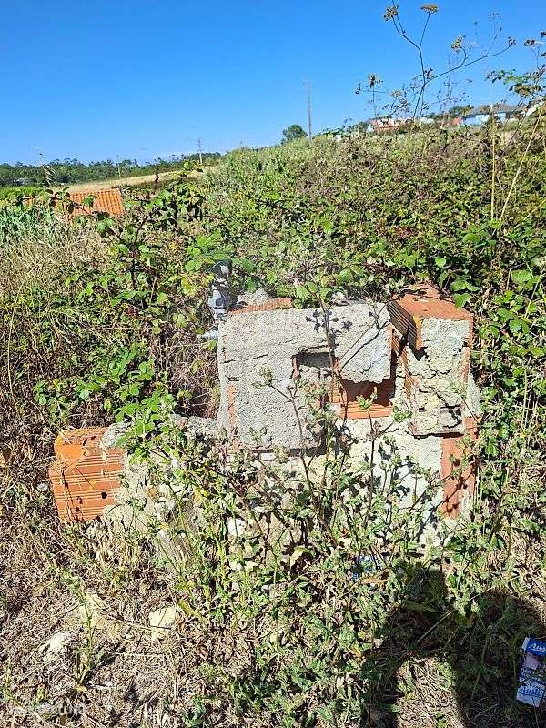 Terreno  para venda-9