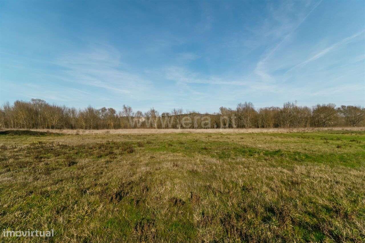 Terreno / Fundão, Alcaria - Grande imagem: 5/17