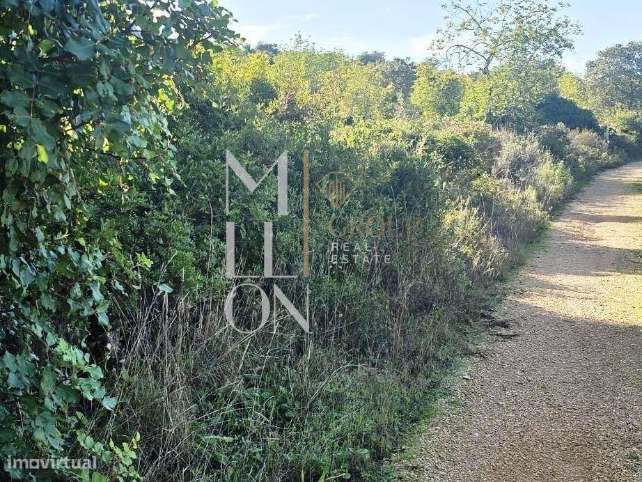 Terreno rústico com 4.000 m2 – Excelente oportunidade - Grande imagem: 5/7