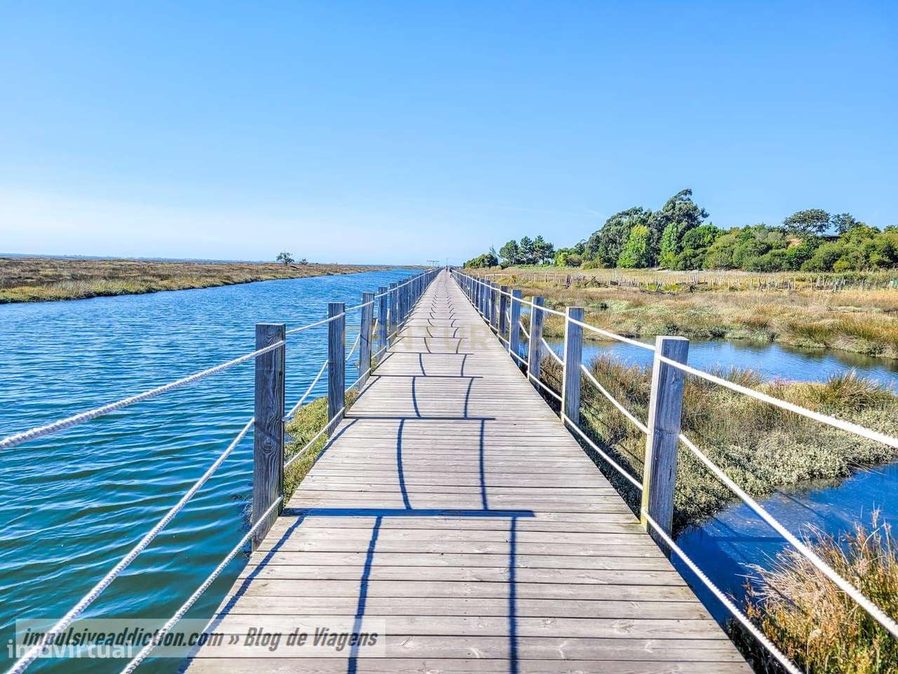 Terreno urbanizável no Paço-Esgueira 24m frente com Vista Campestre-3