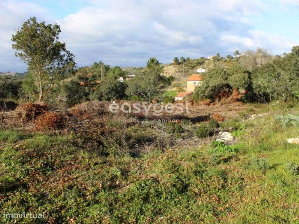 Terreno para Construção com 2450m2 em Carregueiros - Grande imagem: 5/5