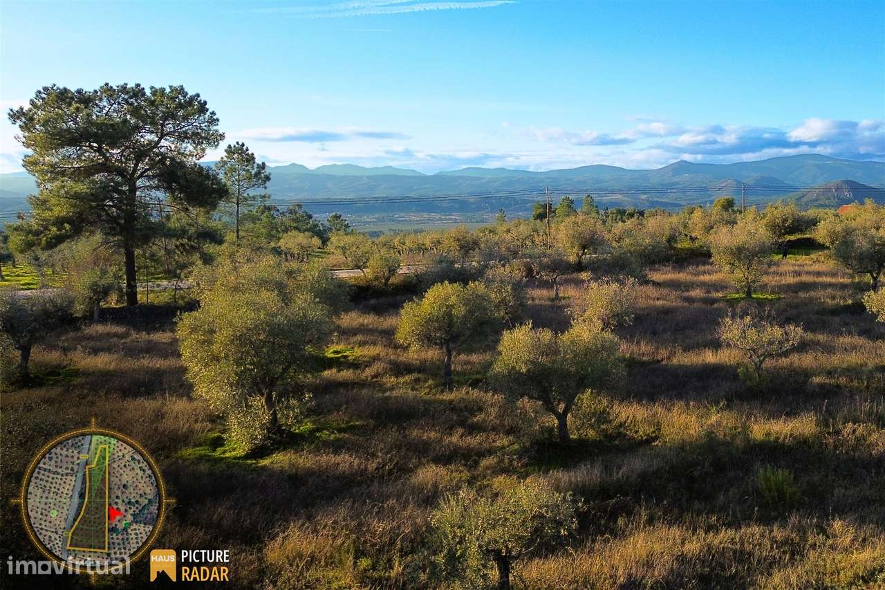 Terreno Plano 6.700m² c/ Vistas Panorâmicas – Salgueiro do Campo-5