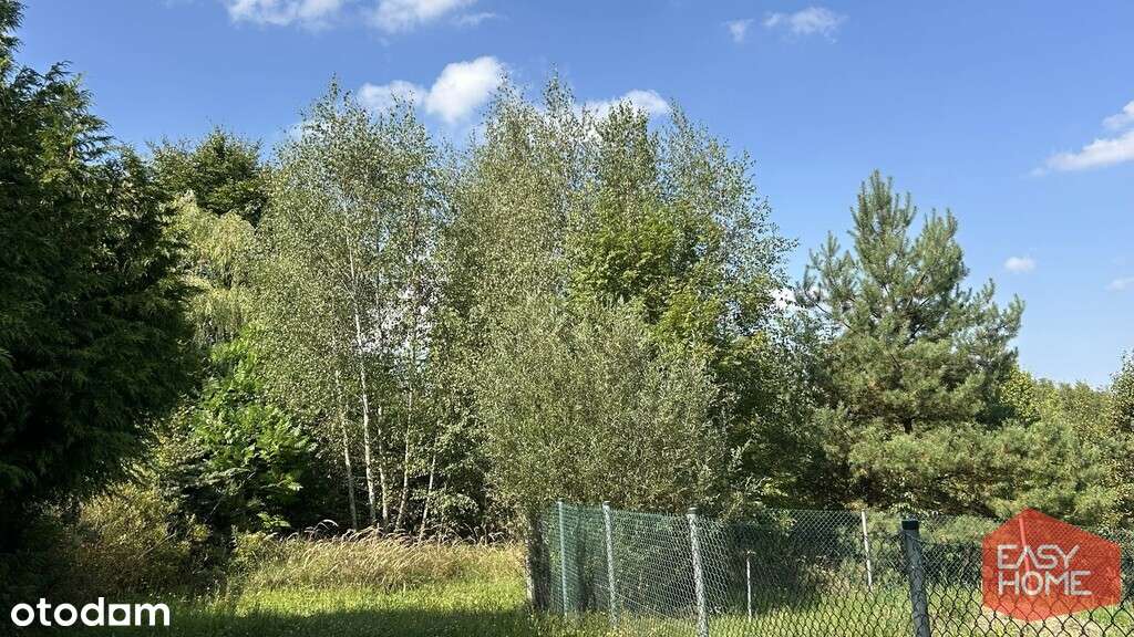 Cudowne miejsce w pobliżu jeziora i lasu-0