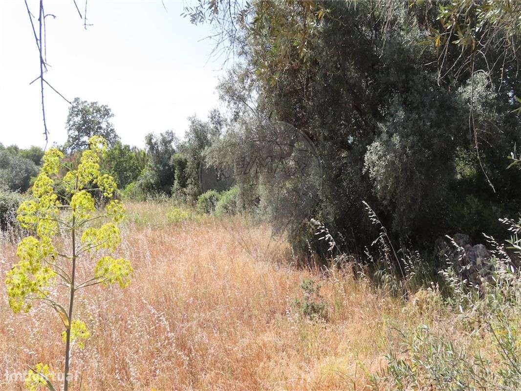 Quinta  para venda - Grande imagem: 5/10