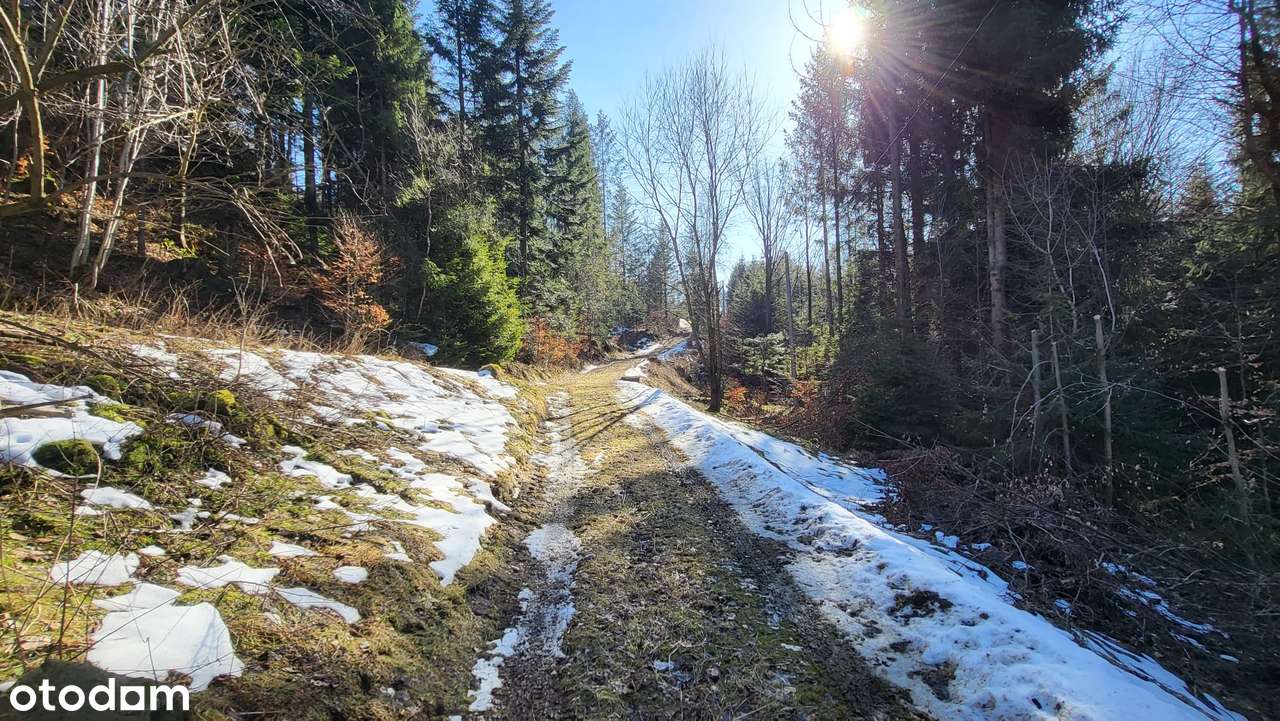 Dwa domy na działce 48 arów w Wiśle-15