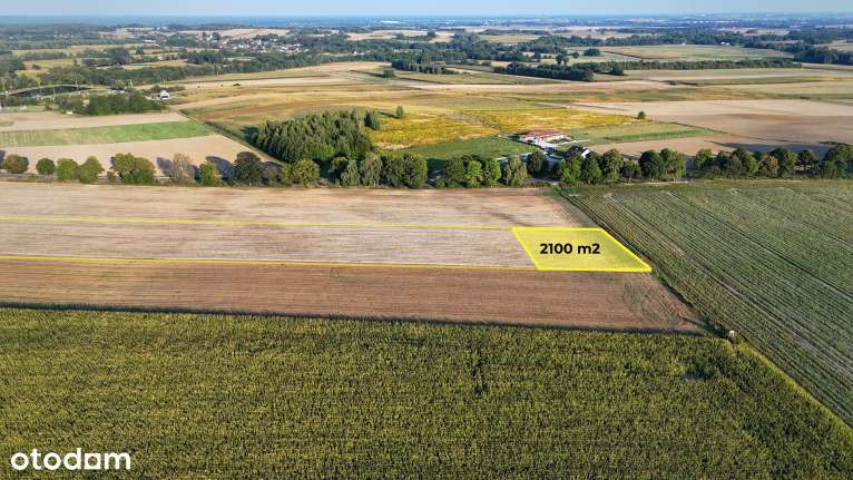 Działka budowlana z Warunkami Zabudowy 2100 m² – Malownicza okolica - Pełny obrazek: 5/5