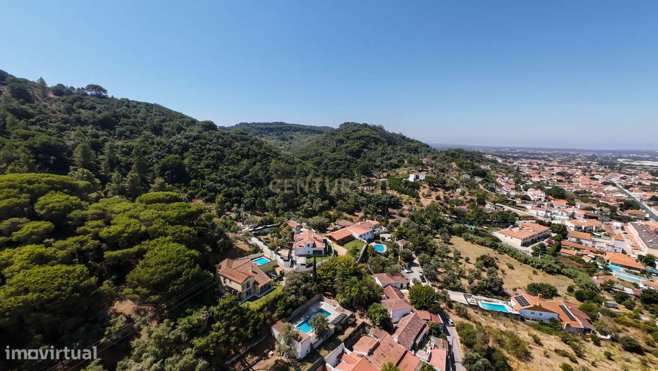 Terreno Rústico Urbanizável em Cabanas, Quinta do Anjo - 4446m² - Grande imagem: 5/13