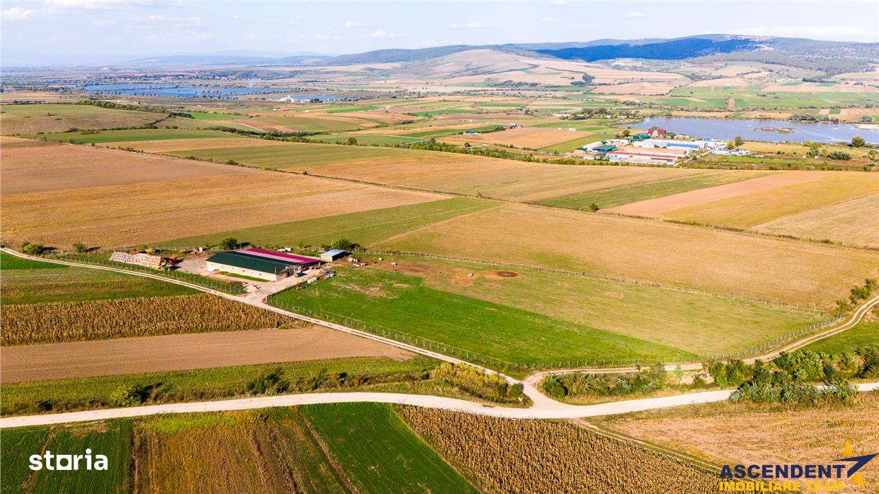 FILM! 18.000 mp,extravilan,agricol+constructii, recomandat:ferma,inves - Imagine principală: 4/15