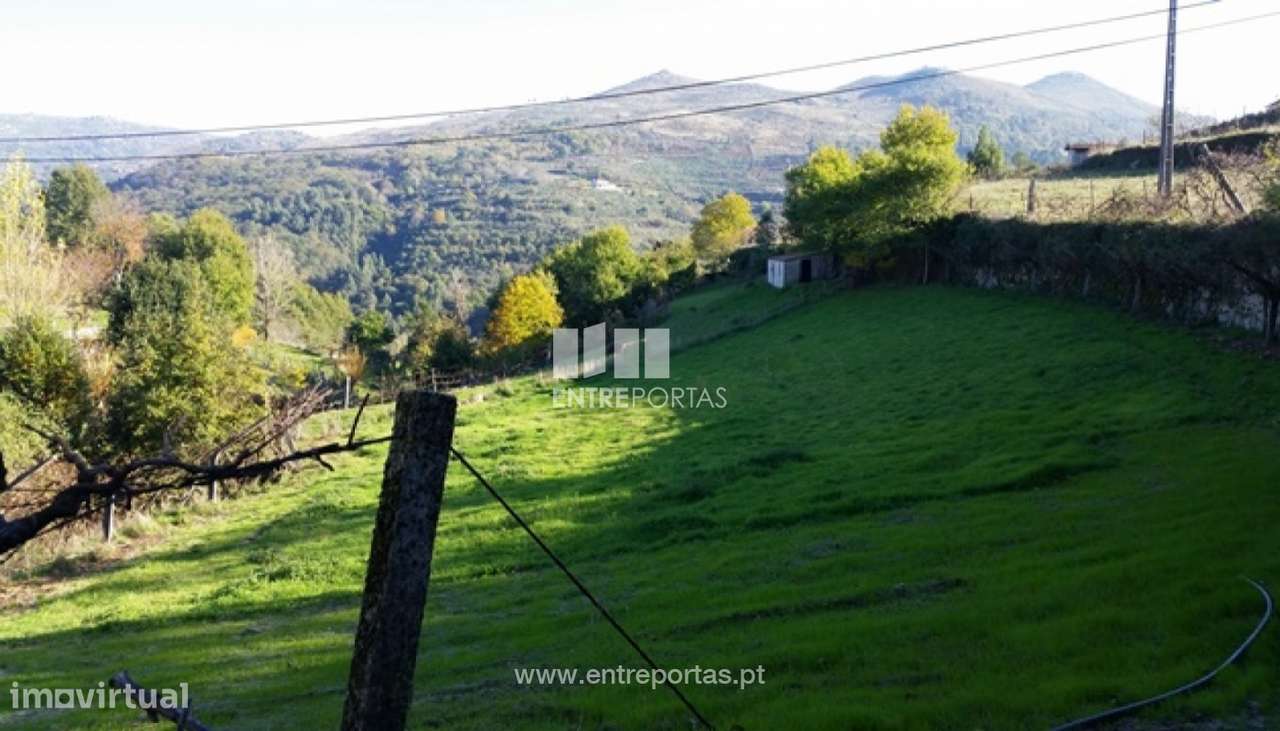 Venda Terreno, vista desafogada, Ovil, Baião - Grande imagem: 2/12