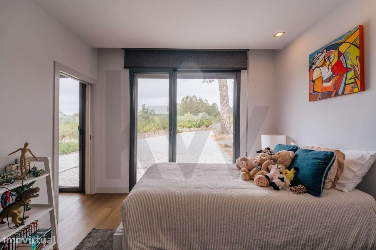 QUINTA COM 10 HA  E MORADIA CONTEMPORÂNEA  |  COIMBRA-21