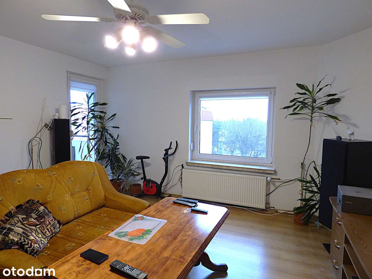 Słoneczne dwa pokoje w bloku z balkonem of.2602M-3