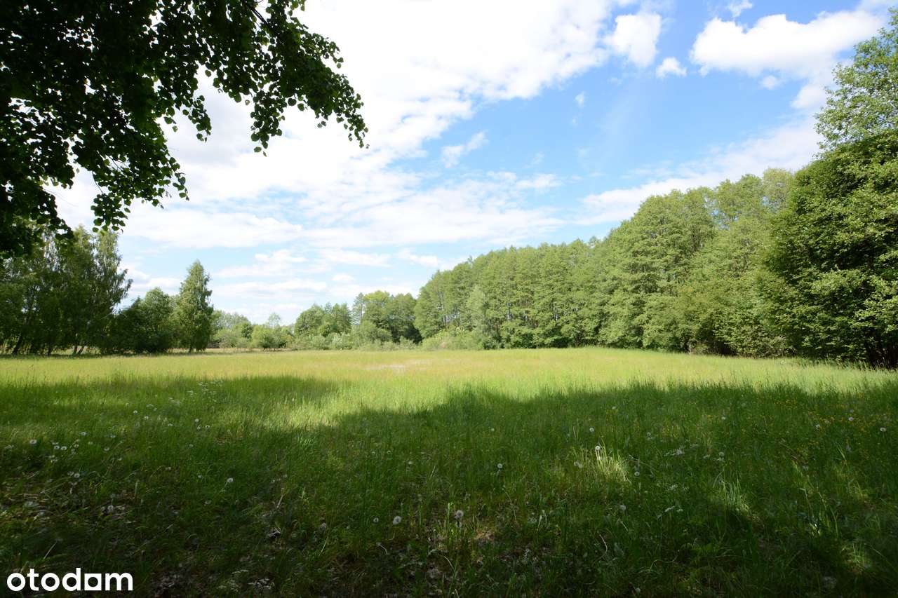 Podlasie, urocze siedlisko ze stajnią - Pełny obrazek: 5/18