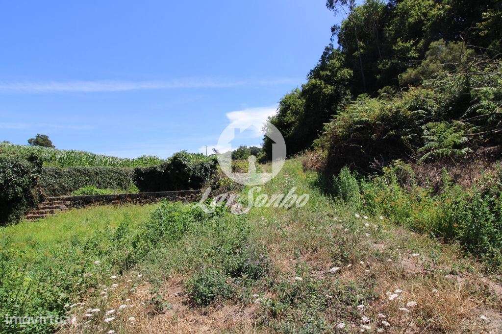 Terreno Agrícola c/21.000 m2 em Junqueira, Vila do Conde - Grande imagem: 4/6