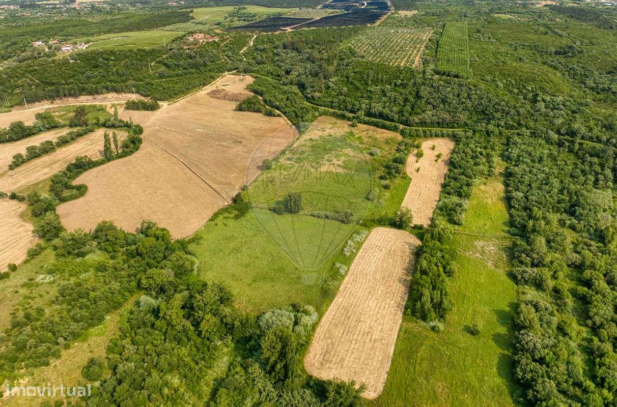 Quinta T4 para venda - Grande imagem: 4/46