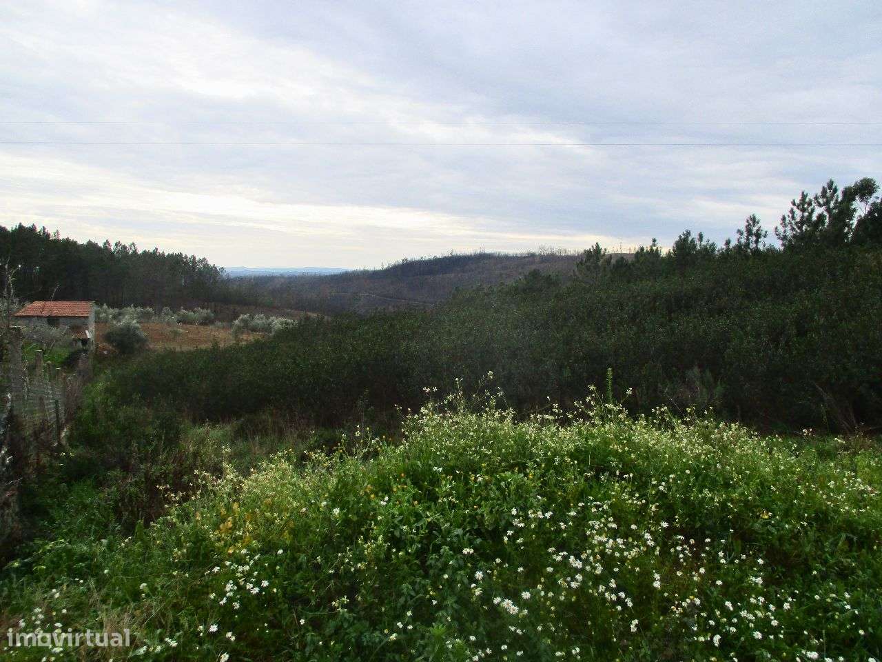 Terreno - Grande imagem: 2/4