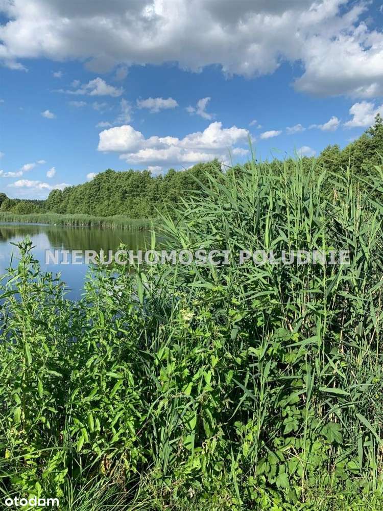 Wyjątkowy dziewiczy teren - Pełny obrazek: 4/14