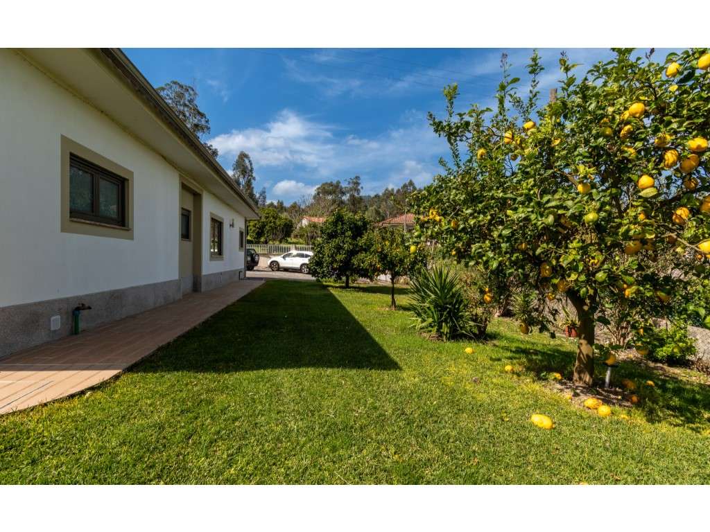 Encantadora Moradia Térrea V3-31