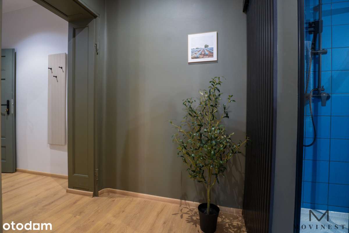 Inwestycja: 2 lokale w 1 M - Jeżyce, Roi 8%-5