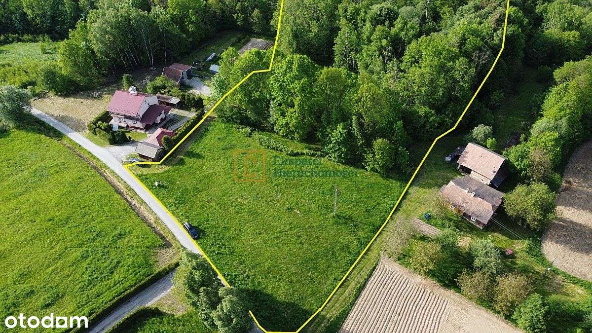 Piękna działka z lasem, Glinik Charzewski, 1,18 ha-4