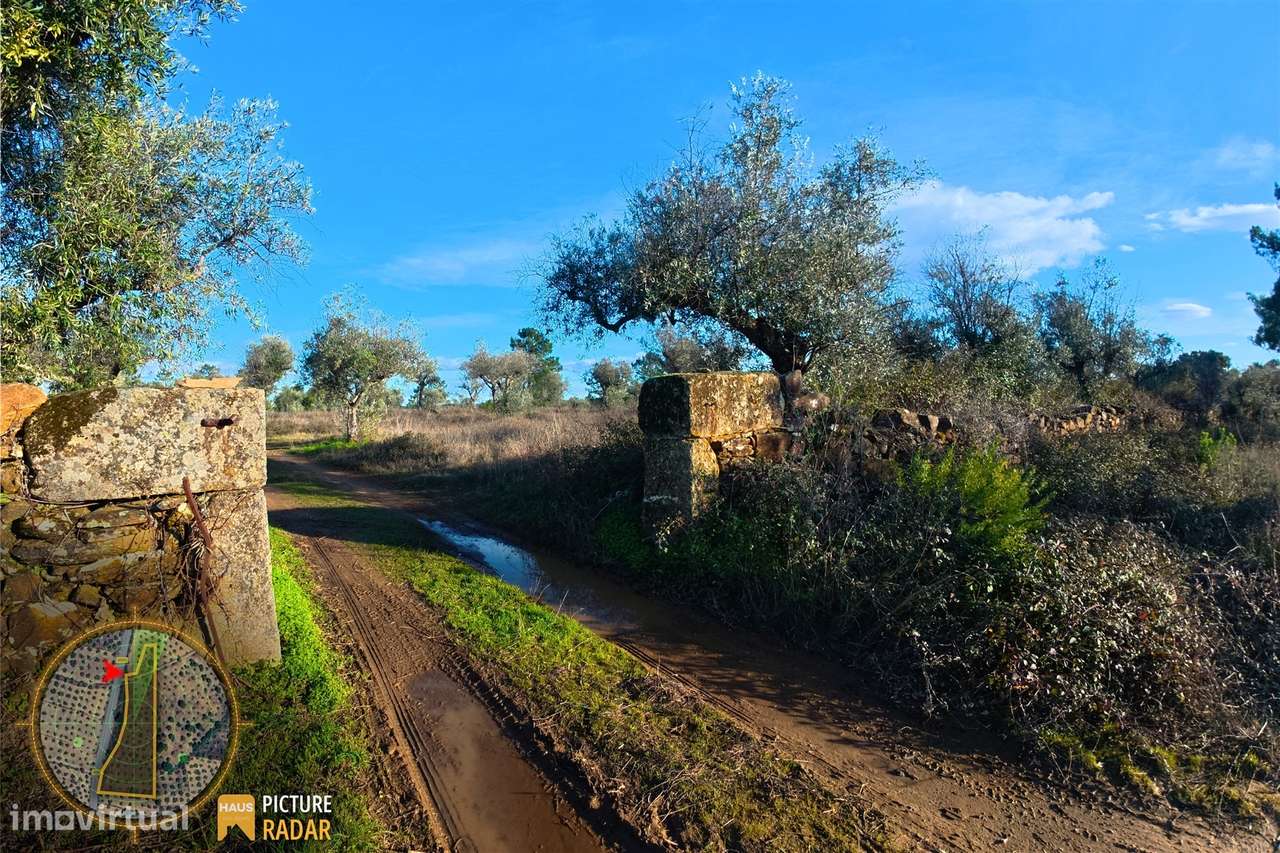 Terreno Plano 6.700m² c/ Vistas Panorâmicas – Salgueiro do Campo-7