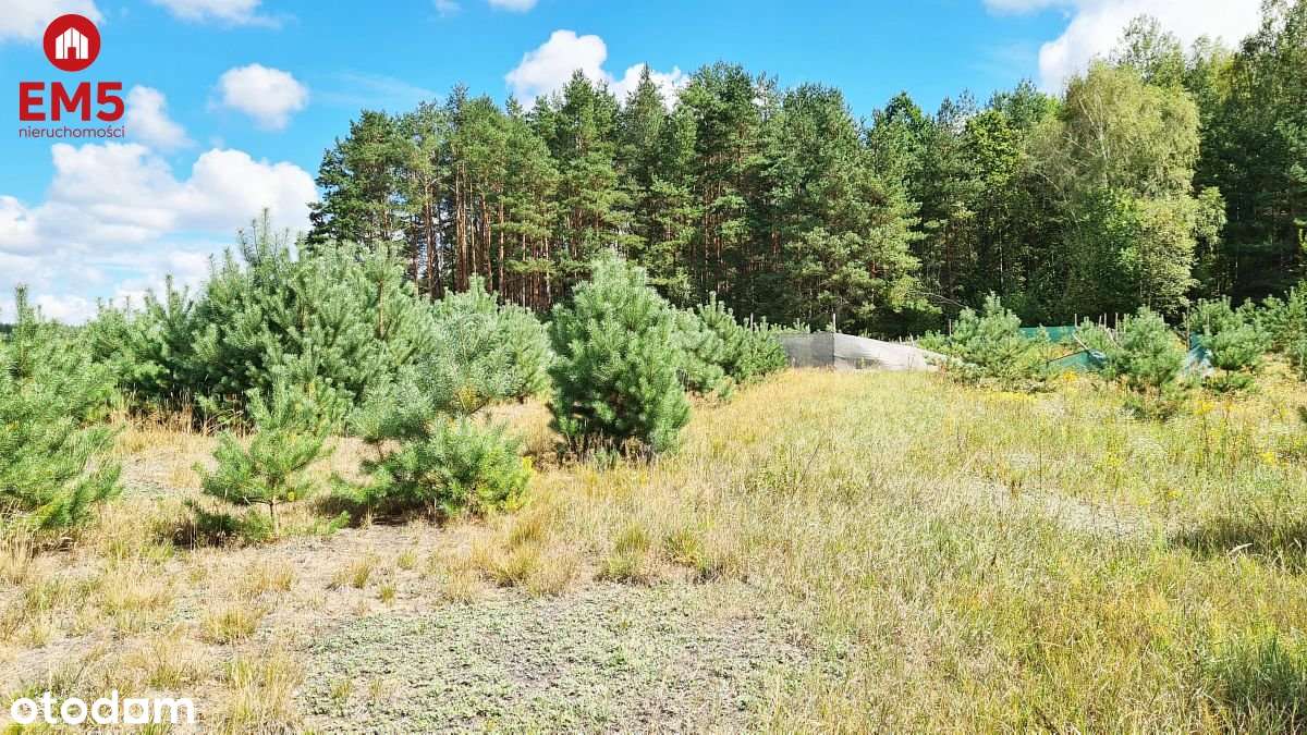 Działka budowlana 1047 m2, Wólka Poduchowna - Pełny obrazek: 4/6