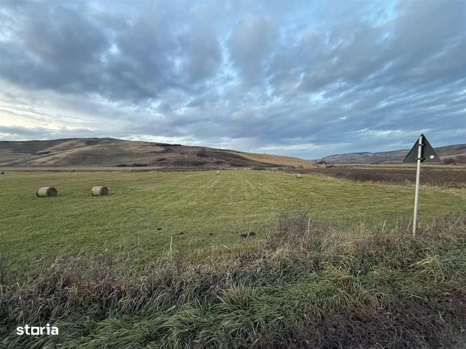 Teren Extravilan I 6000 Mp I Acces la drum | Cojocna-2