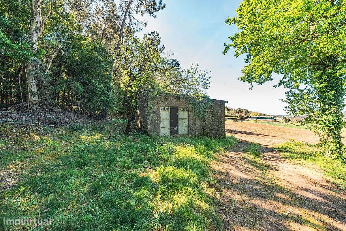 Moradia T4 para venda - Grande imagem: 4/34