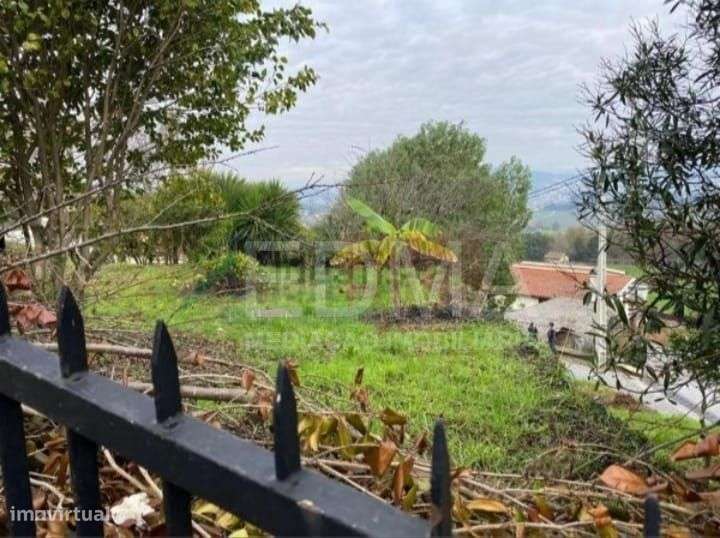 Quinta T5 - Grande imagem: 3/14