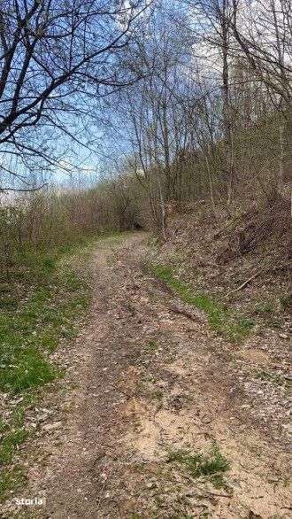 Oportunitate Teren extravilan 4000mp , Zona Baisoara - Imagine principală: 5/5