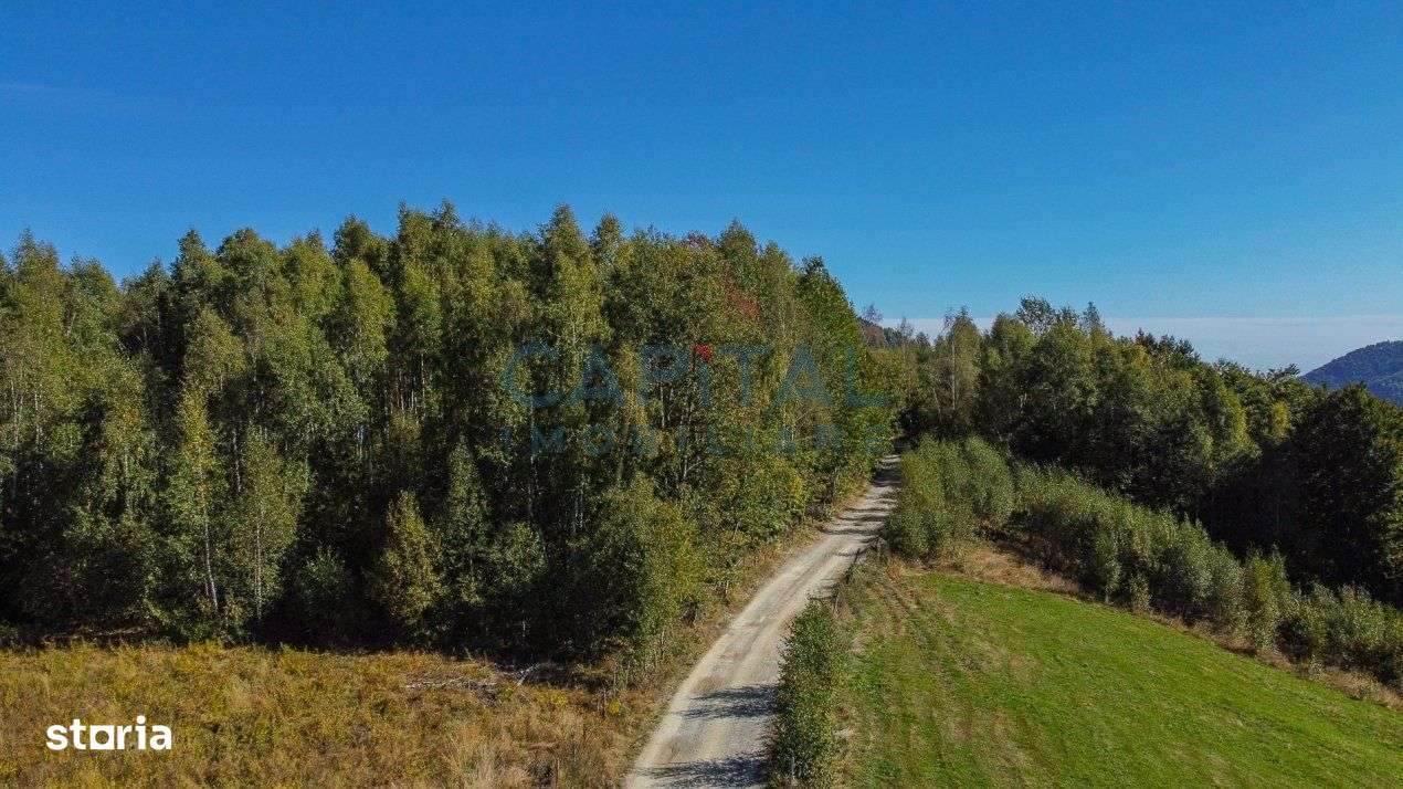 Comision 0% teren intravilan 1000 mp, PUZ, priveliste, Baisoara - Imagine principală: 3/13